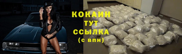 СК Володарск