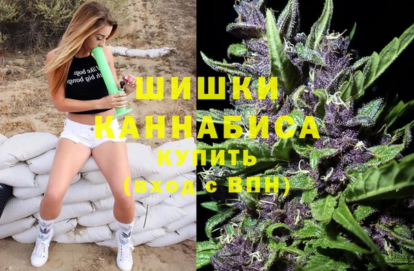 трава Горно-Алтайск