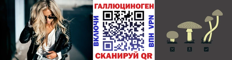 shop телеграм  Долинск  Псилоцибиновые грибы мицелий 